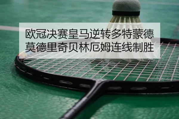 ou-guan-jue-sai-huang-ma-ni-zhuan-duo-te-meng-de-mo-de-li-qi-bei-lin-e-mu-lian-xian-zhi-sheng-2-428.jpg